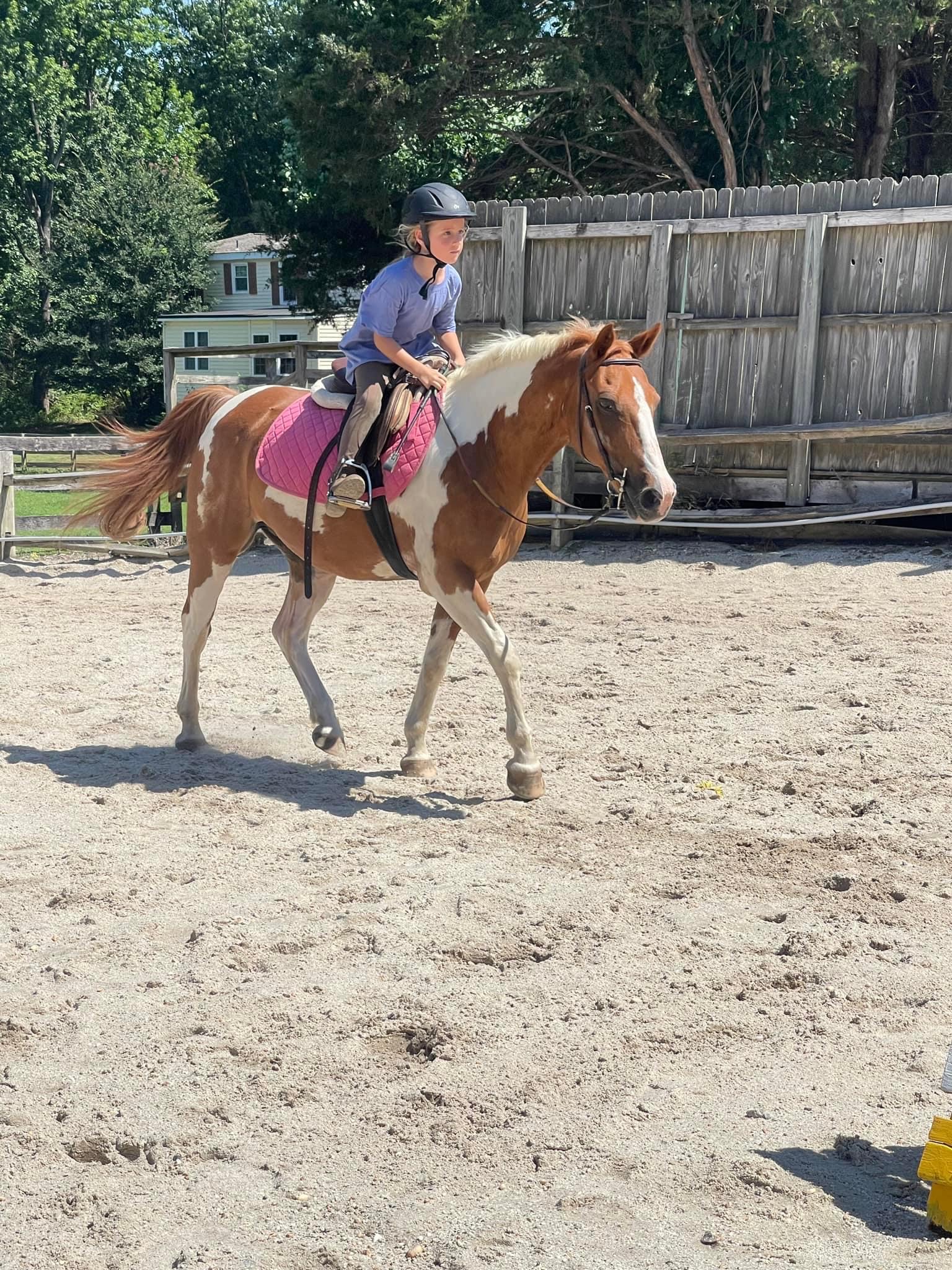 Tall Cedars Farm